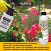 Harris Neem Oil, 100% Cold Pressed and Unrefined (12 fl.oz)