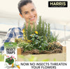 Harris Potted Plant Insect Traps for Gnats, Aphids, Whiteflies and More (30 Traps, 7 Stakes)