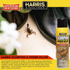 HARRIS Scorpion and Spider Killer, 16oz Aerosol with 6 Week Residual Kill