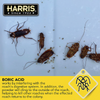 Harris Boric Acid Roach Powder with Lure (2-Pack)